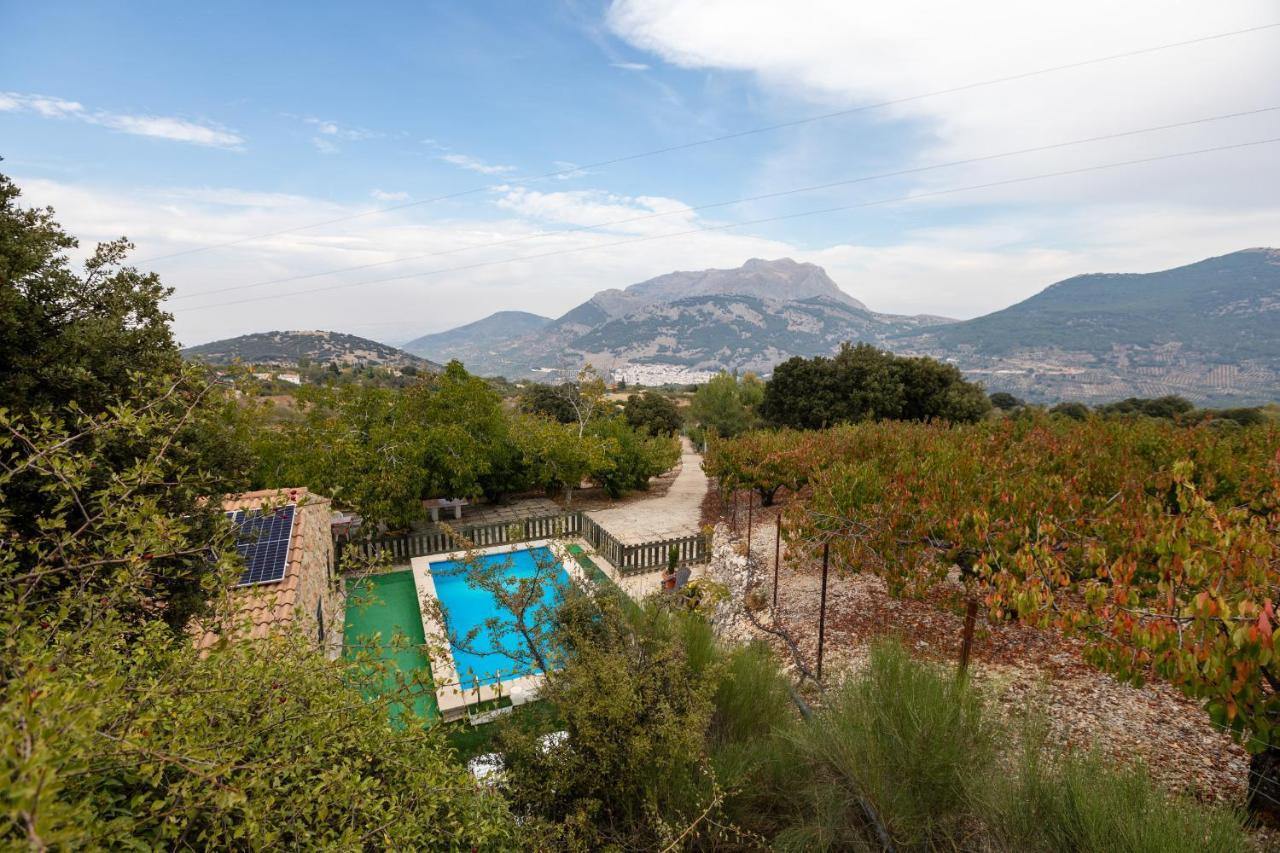 Casa Jurinea Vendégház Torres Kültér fotó