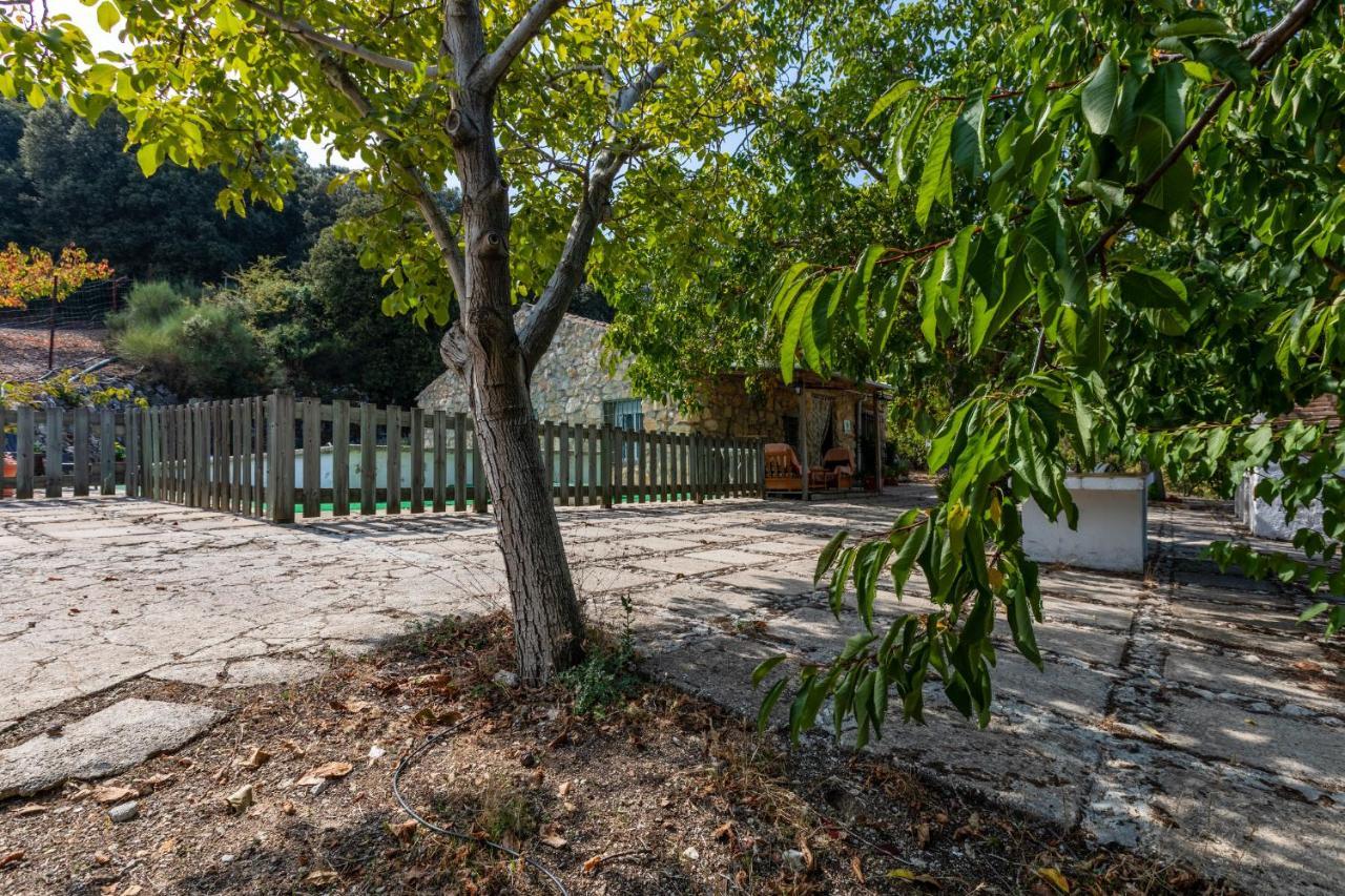 Casa Jurinea Vendégház Torres Kültér fotó