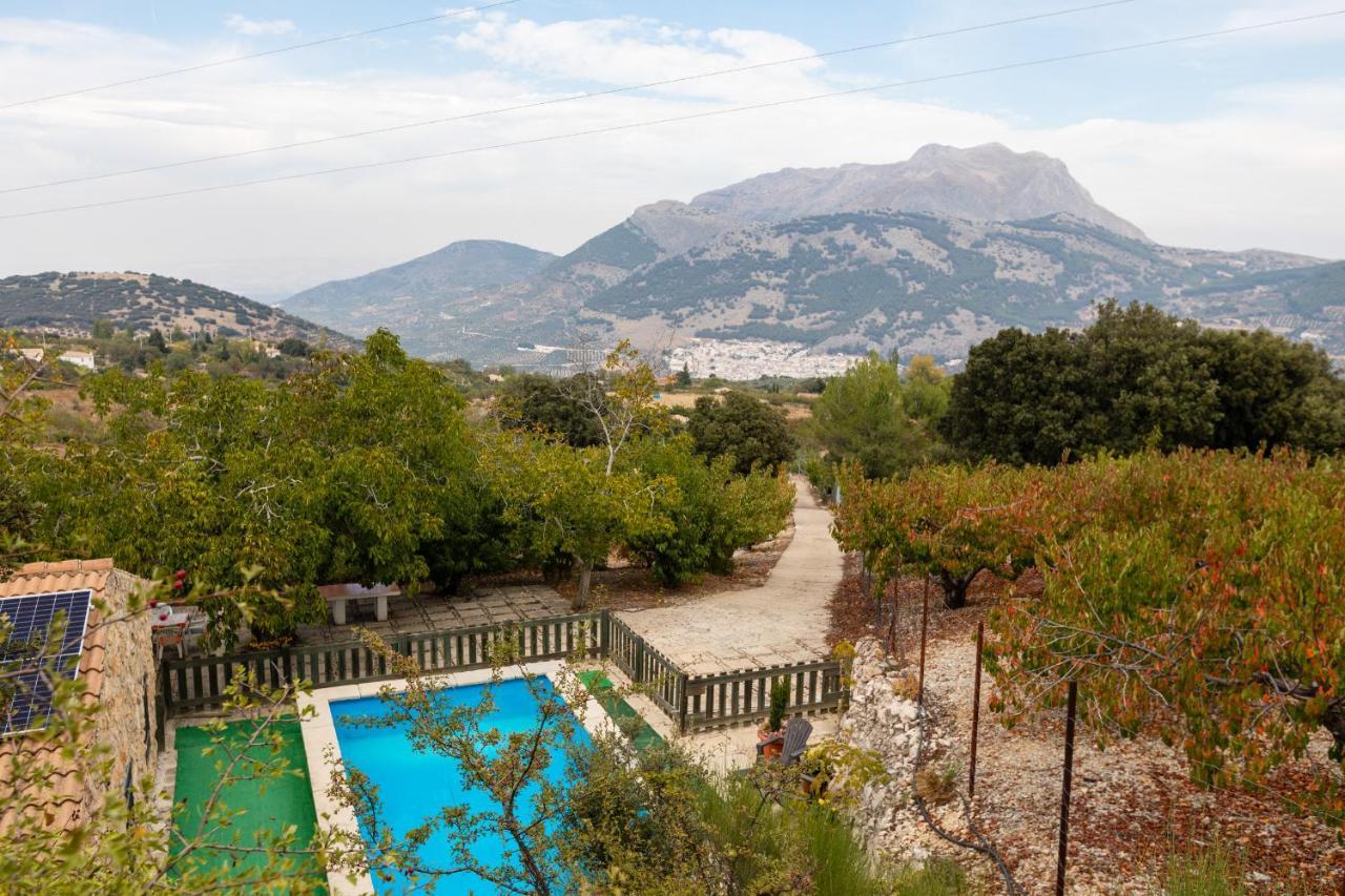 Casa Jurinea Vendégház Torres Kültér fotó
