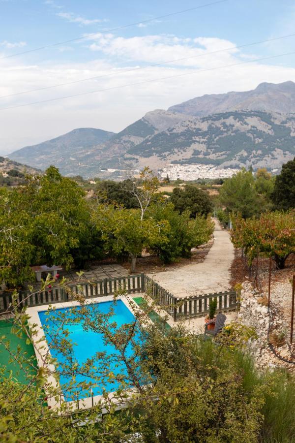 Casa Jurinea Vendégház Torres Kültér fotó