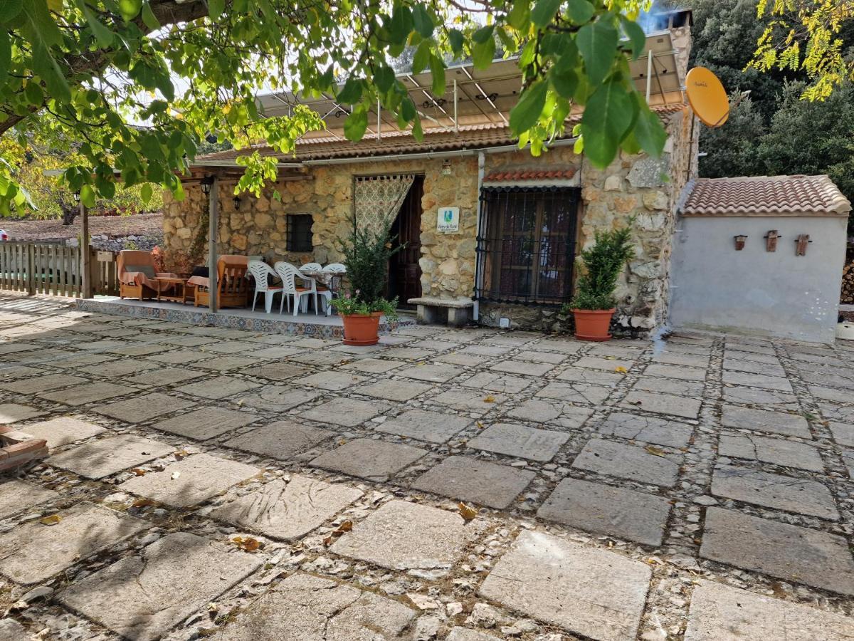 Casa Jurinea Vendégház Torres Kültér fotó